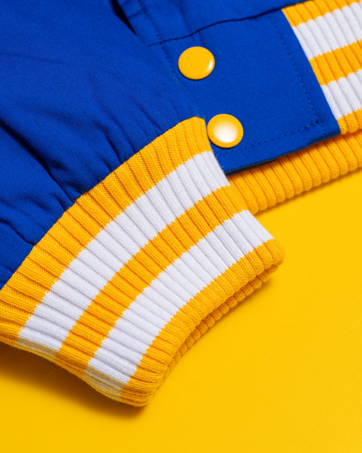 308 Blue and Gold